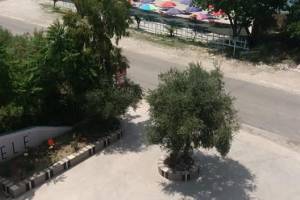  The house is located in Vlore the "Radhime" area and is  km from city 
