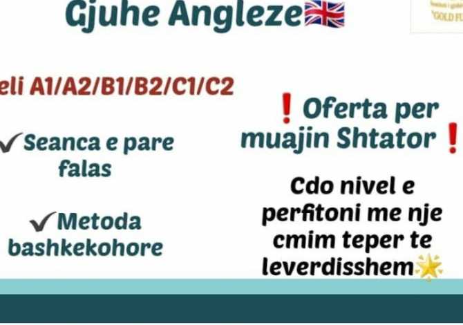  Sherbime Profesionale English, italian  german Language online