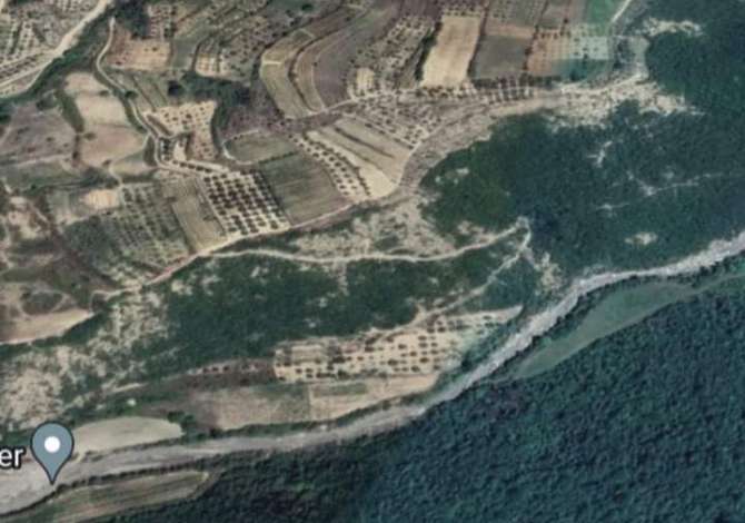  Shitet Tokë-Ullishte në Berat  ☘️ Shitet Tokë-Ullishte në Berat 
📐 Sipërfaqja e tokes : 5000 m²;
 
