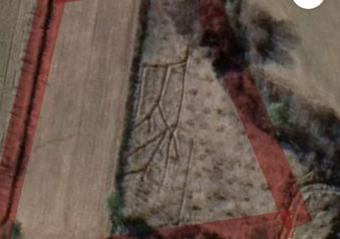 Shitet toke ne zonen e Baldushkut, Tirane Shitet toke ne zonen e Baldushkut, Tirane

Siperfaqja: 4000 m2 ( shitet dhe e 
