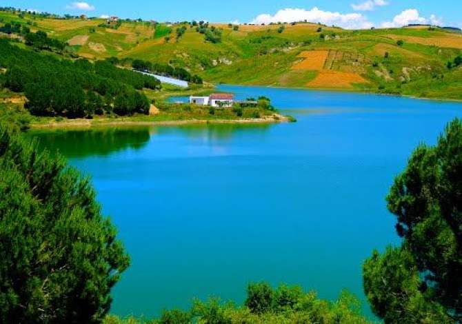 Toke ne Shitje  ☄️ Shitet Super Toke☄️

📍 Liqeni Kasharit,  TIRANË


📐 Siper