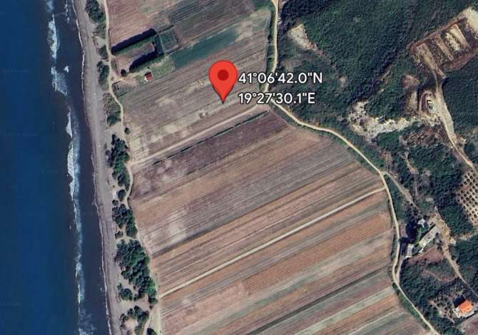 Shitet Toka Shitet Toka në bregdet

📍 Spille, Durrës

130€ m2 

8000m2

Për 