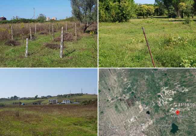 Sell agricultural land Land for Sale Agricultural Land 📢  📍Location in Xhafzotaj Durres  Rreth Ar