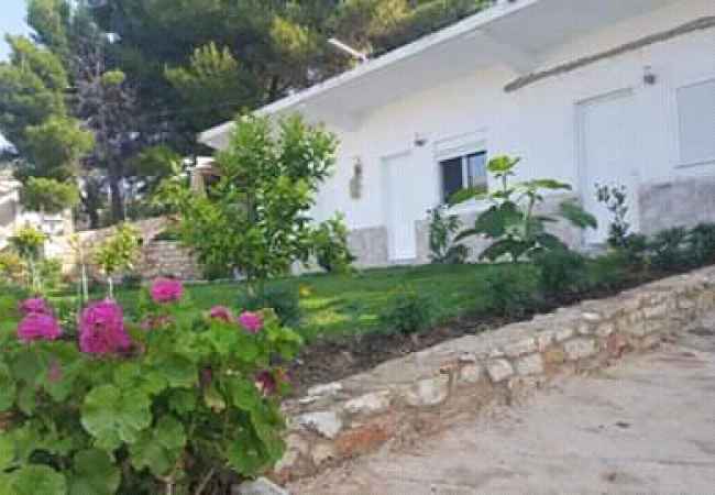 Daily rent and beach room in Sarande 1+1 Emty  The house is located in Sarande the "Central" area and is .
This Dail