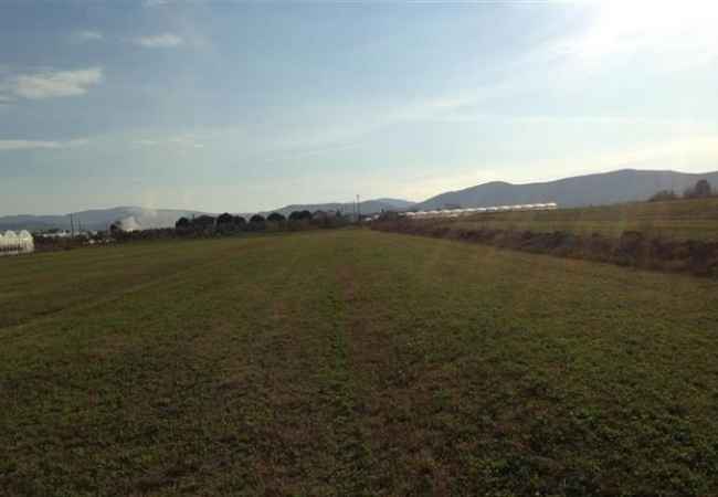 SELL LAND IN VERBAS, FIER For sale 1 dynym of land in Verbas, Fier. The land is within the yellow line. Wh