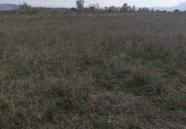 SELL LAND IN TERBUF, LUSHNJE Land for sale are in Terbuf, Lushnje with a surface of 1985 m².  The land is lo