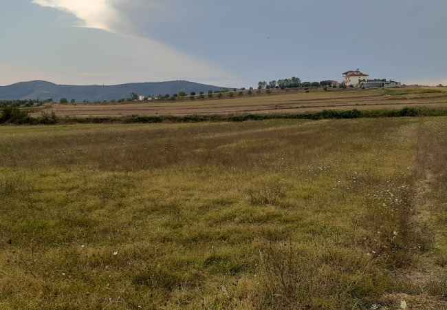 FOR SALE AREA TO VERBAS, FIER Arable land for sale in Verbas, Fier, with an area of 8500 m². The land has reg