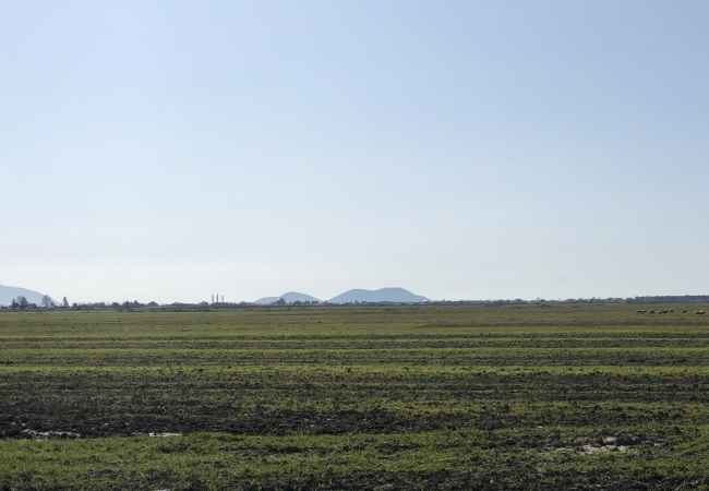 GIVES MONEY TO AROVA AGAIN IN POVENCH, FIER. Land for rent in Povelç, Fier, with an area of 20 700 m²,  The land has a favo